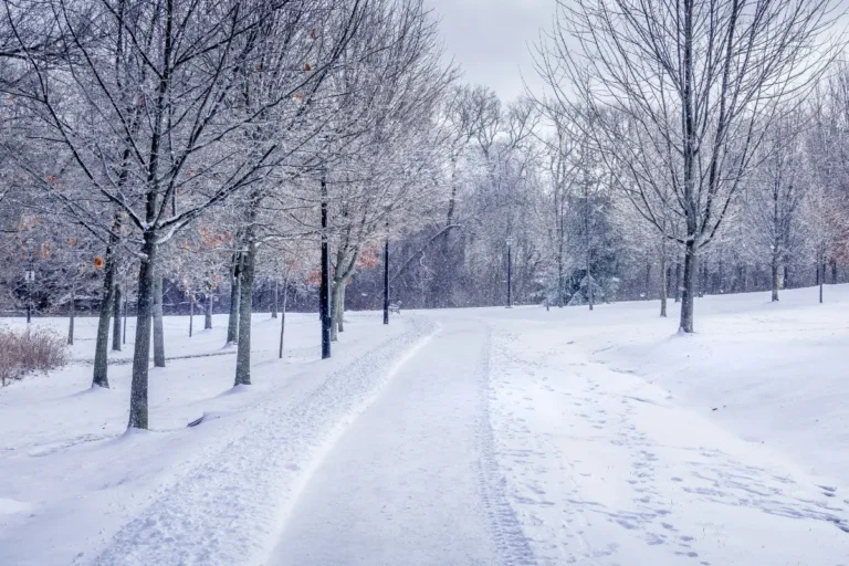 Why Dubai Weather in December Is the Best Time for Tourists and Outdoor Activities