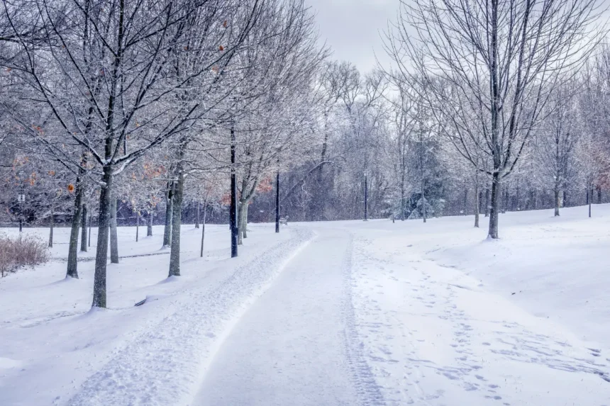 Why Dubai Weather in December Is the Best Time for Tourists and Outdoor Activities