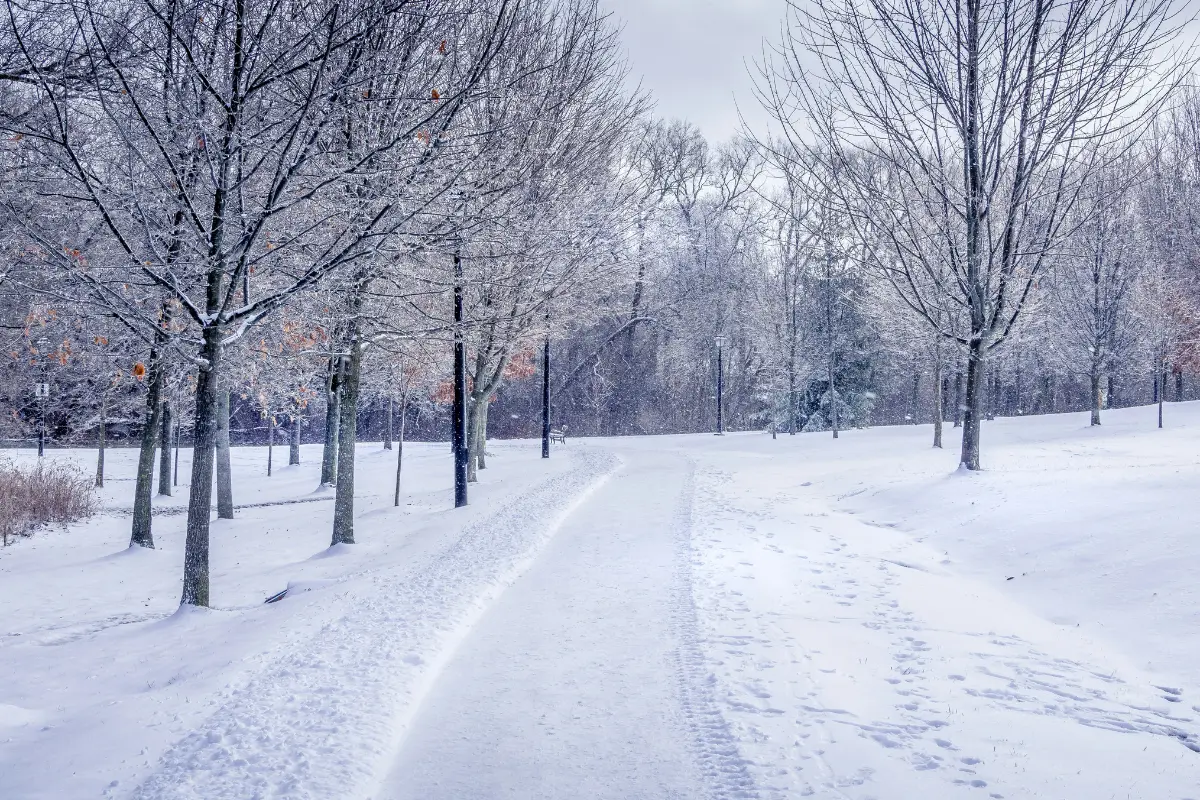 Why Dubai Weather in December Is the Best Time for Tourists and Outdoor Activities