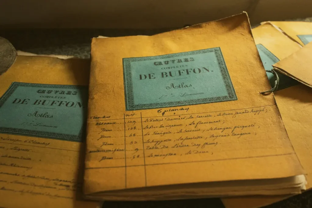 UAE Visa Violations: Heavy Fines, Jail Terms and Deportation Under Federal Law No. 29 of 2021