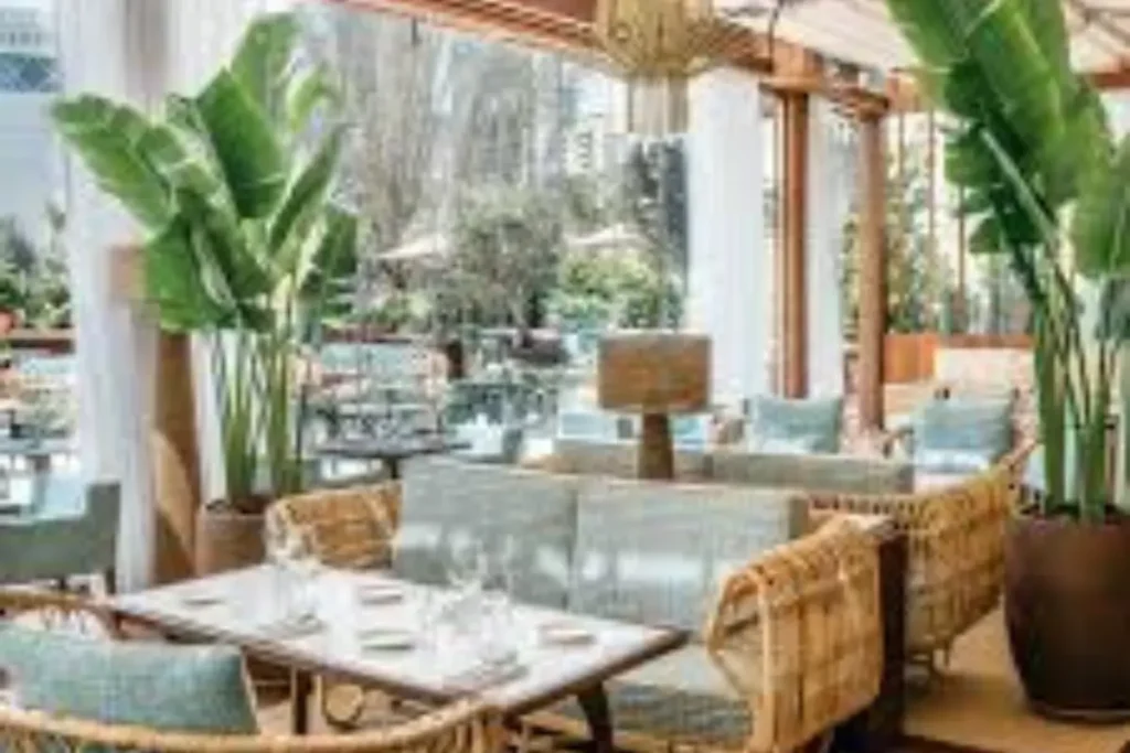 Best Spots for Non-alcoholic Drinks in Dubai
