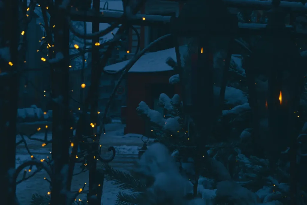 Real Fir Trees Arrive for Christmas in UAE, Filling Dubai with Festive Scents