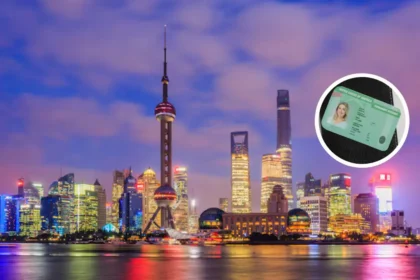 UAE Credit Score & Emirates ID Credit Report: How to Check, Understand, and Improve Your Financial Health