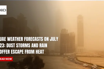 UAE Weather Forecasts On July 23: Dust Storms And Rain Offer Escape From Heat