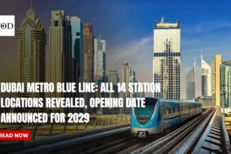 Dubai metro blue line all 14 station locations revealed opening date announced for 2029 times of dubai