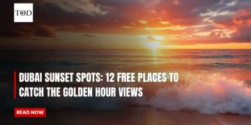 Dubai Sunset Spots: 12 Free Places to Catch the Golden Hour Views