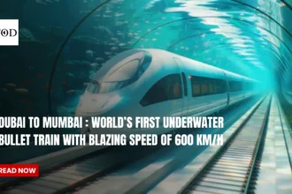 Dubai to mumbai  worlds first underwater bullet train times of dubai