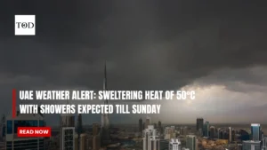 UAE weather alert