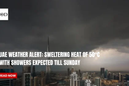 UAE weather alert