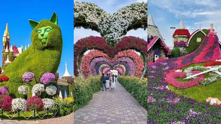Top Outdoor Attractions in Dubai