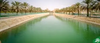 Green 1 - Times of Dubai Times of dubai