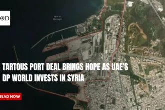 Tartous port deal brings hope as uaes dp world invests in syria times of dubai