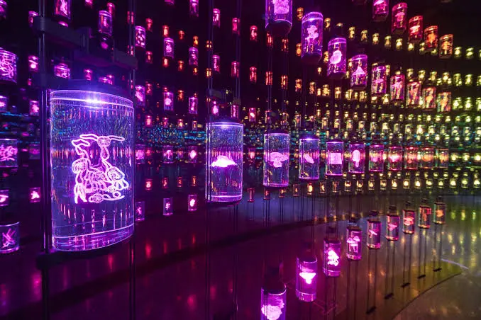 Dubai Museum of the Future 