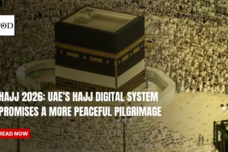 Hajj 2026 uaes hajj digital system promises a more peaceful pilgrimage times of dubai
