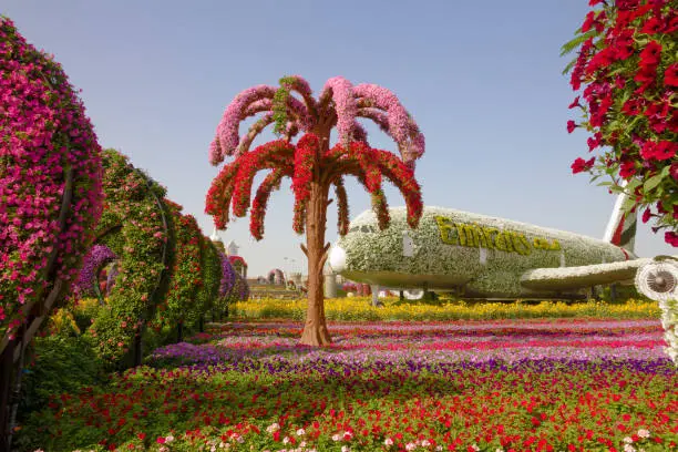 Dubai Miracle Garden