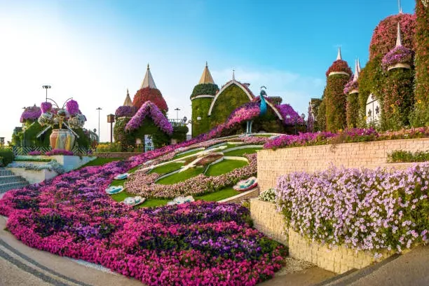 Dubai Miracle Garden