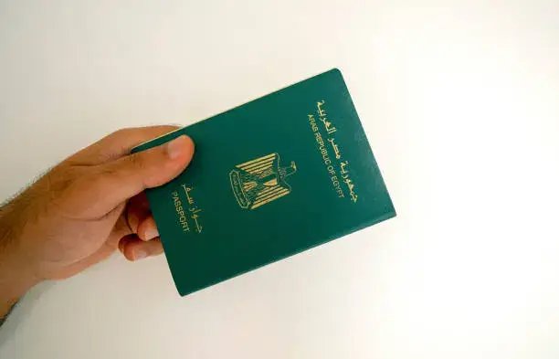 new category for uae golden visa