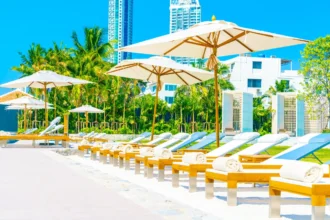 How to secure a free caravan camping permit in dubai complete guide for jebel ali beach times of dubai