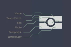 UAE December Weather: Cooler Days with Humidity and Festive Cheer