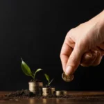 Top Mutual Funds in UAE: A Guide for Smart Investing