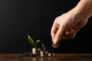 Top Mutual Funds in UAE: A Guide for Smart Investing