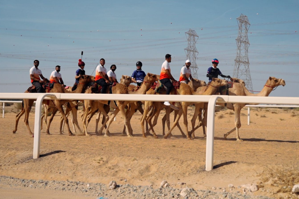 DP World ILT20 Season 4: Gulf Giants Players Try the UAE’s Most Surprising Local Sport- You Won’t Guess What It Is!