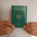 new category for uae golden visa