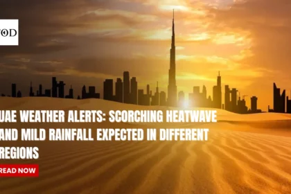 UAE Weather Alerts