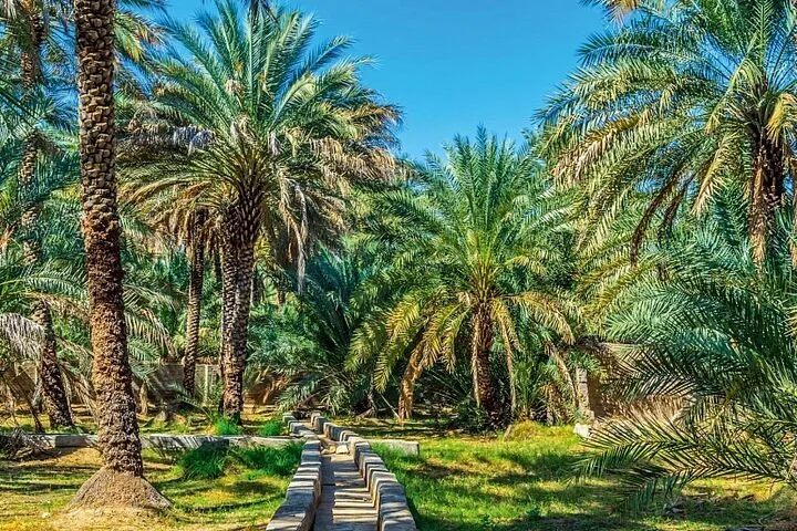 Things to Do in Al Ain: An In-Depth guide of the UAE's Garden City 2