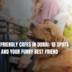 Top Pet Friendly Cafes in Dubai
