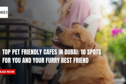 Top Pet Friendly Cafes in Dubai