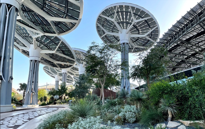 Desert Group to Showcase Sustainable Landscaping Innovations at Myplant & Garden ME 2025