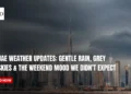 UAE Weather Updates
