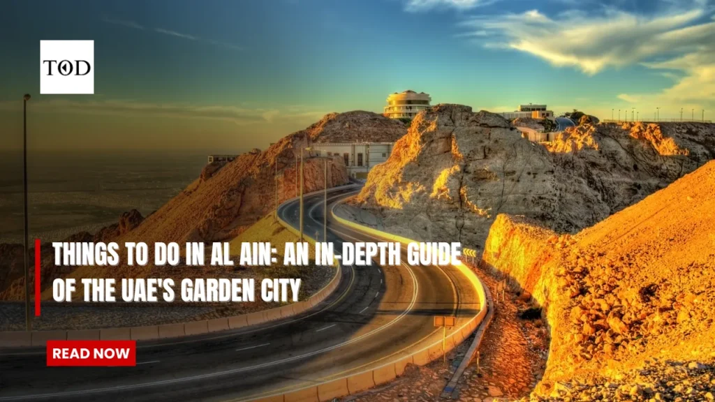 Things to do In Al Ain