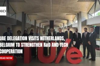 Uae delegation visits netherlands times of dubai