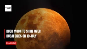 Buck Moon in Dubai