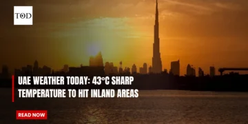 UAE Weather Today: