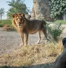 UAE Winter Attractions Reopening: Things to Do in Dubai This Season