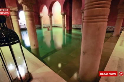 Zayed National Museum Announced Opening In December 2025: Tribute To Sheikh Zayed