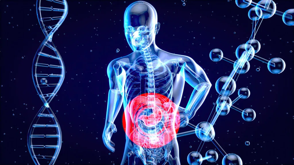 Colorectal Cancer: How Your Diet influences Risk - Times of Dubai Colorectal cancer how your diet influences risk times of dubai