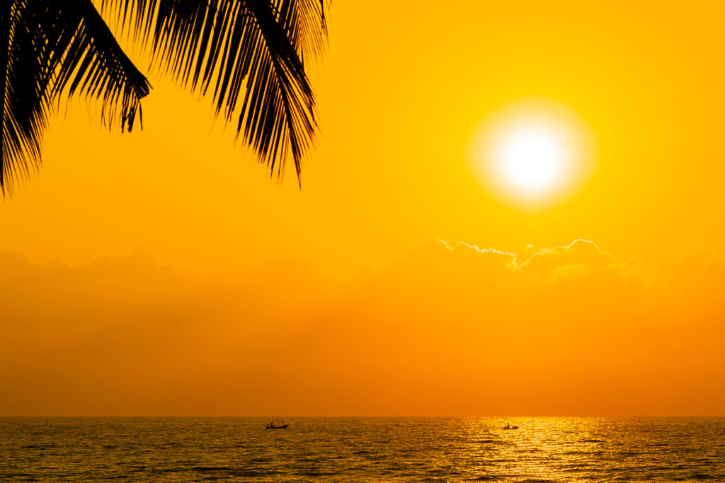 UAE Temperature Hits Over 50°C with Heat Warnings and Rain Predicted