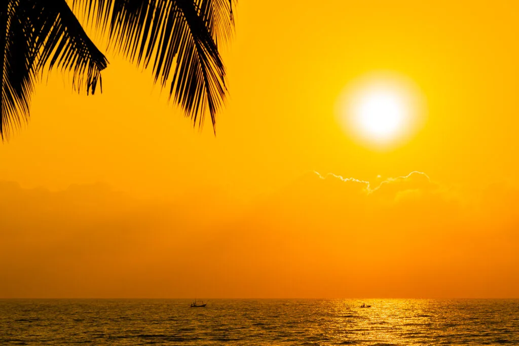 Beautiful Silhouette coconut palm tree on sky neary sea ocean be - Times of Dubai Uae temperature hits over 50°c with heat warnings and rain predicted times of dubai