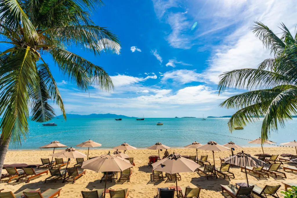 Beautiful tropical beach sea and ocean with coconut palm tree a - Times of Dubai Uae public holidays transferable how the new law impacts your long weekends times of dubai