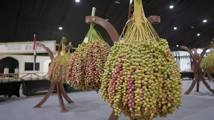 Liwa Date Festival 2025 Graced By Deputy PM: Vibrant Display Of Economy And Culture