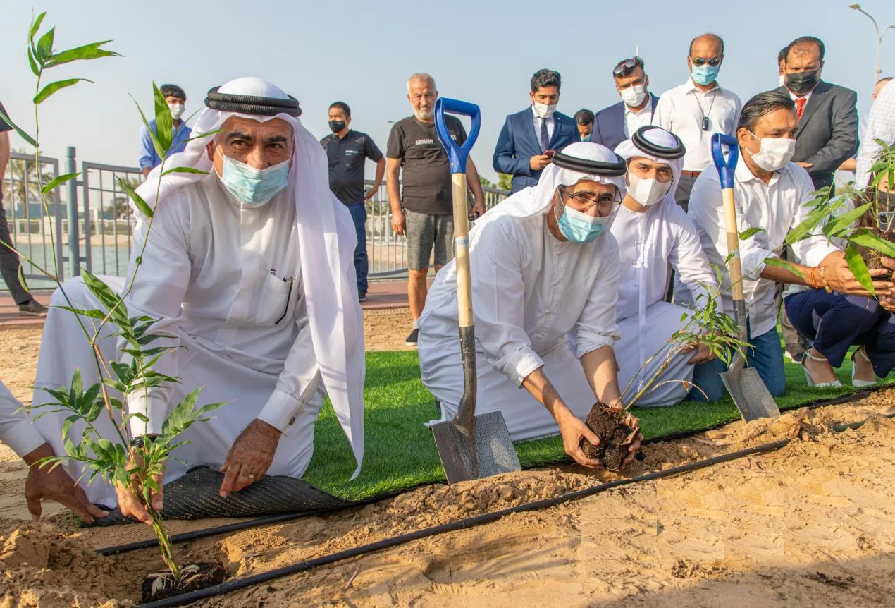dso - Times of Dubai Tree plantation project in dubai 300000 new trees as green transformation times of dubai