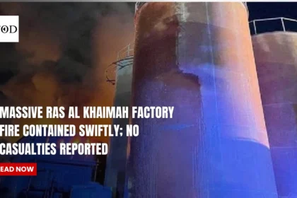 Massive Ras Al Khaimah Factory Fire Contained Swiftly; No Casualties Reported