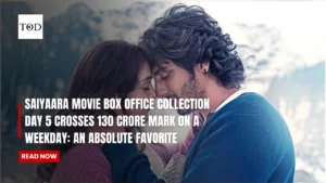 Saiyaara Movie Box Office Collection Day 5 Crosses 130 Crore Mark On A Weekday: An Absolute Favorite