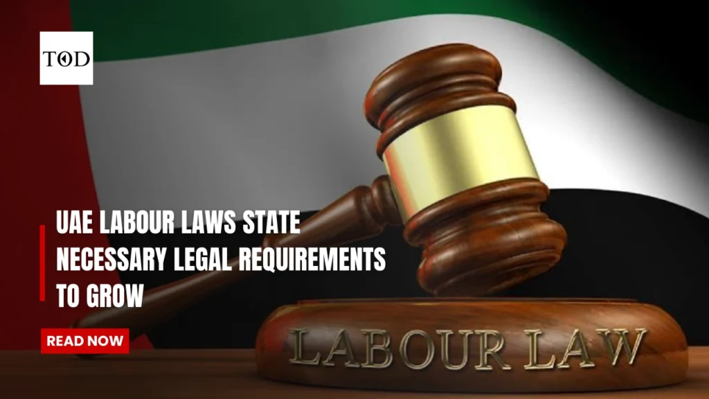 UAE Labour Laws State Necessary Legal Requirements To Grow Side Business
