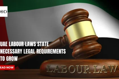 UAE Labour Laws State Necessary Legal Requirements To Grow Side Business