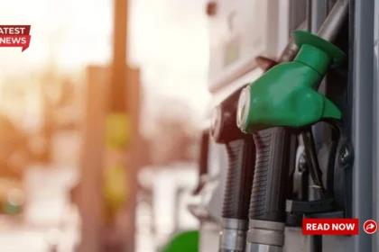 UAE Petrol Price For August 2025: Costs For A Full Fuel Tank